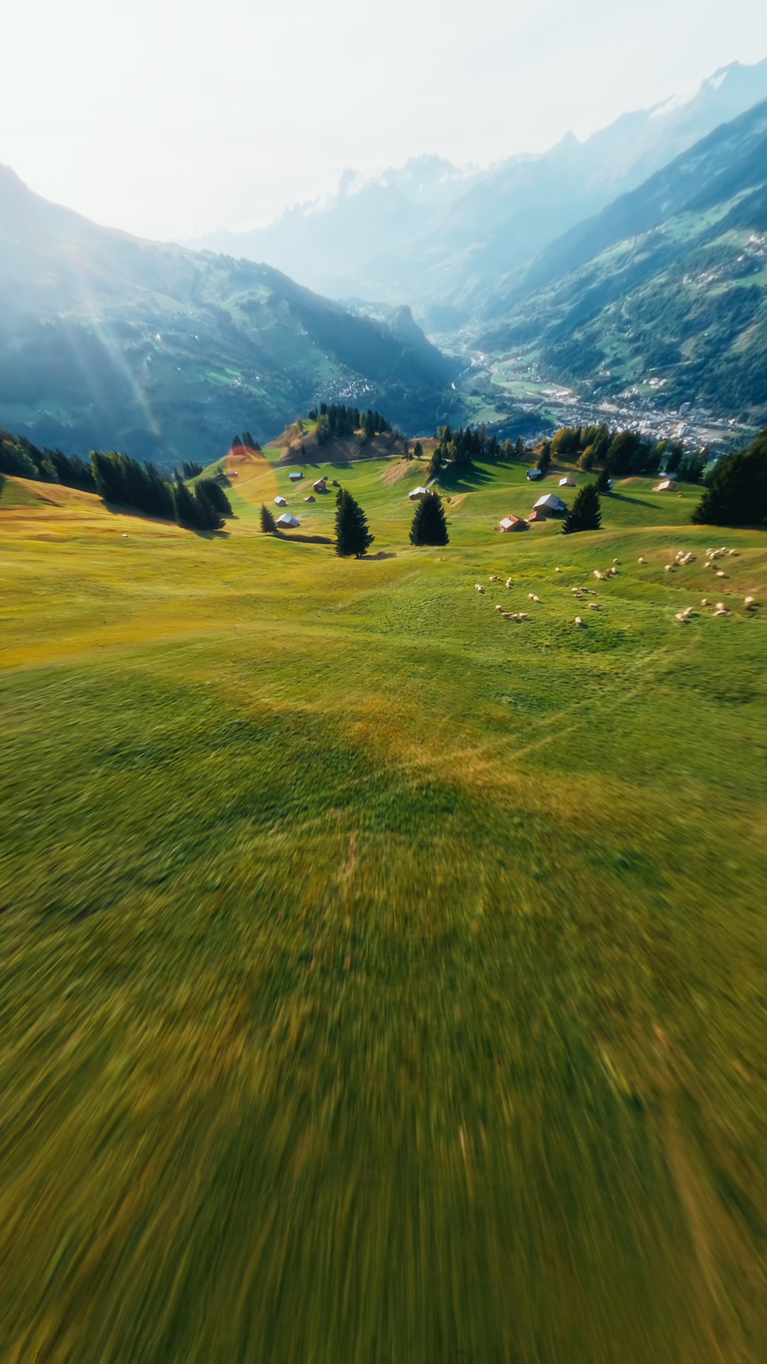 A low, continuous flight across open slopes and along the ridgeline.