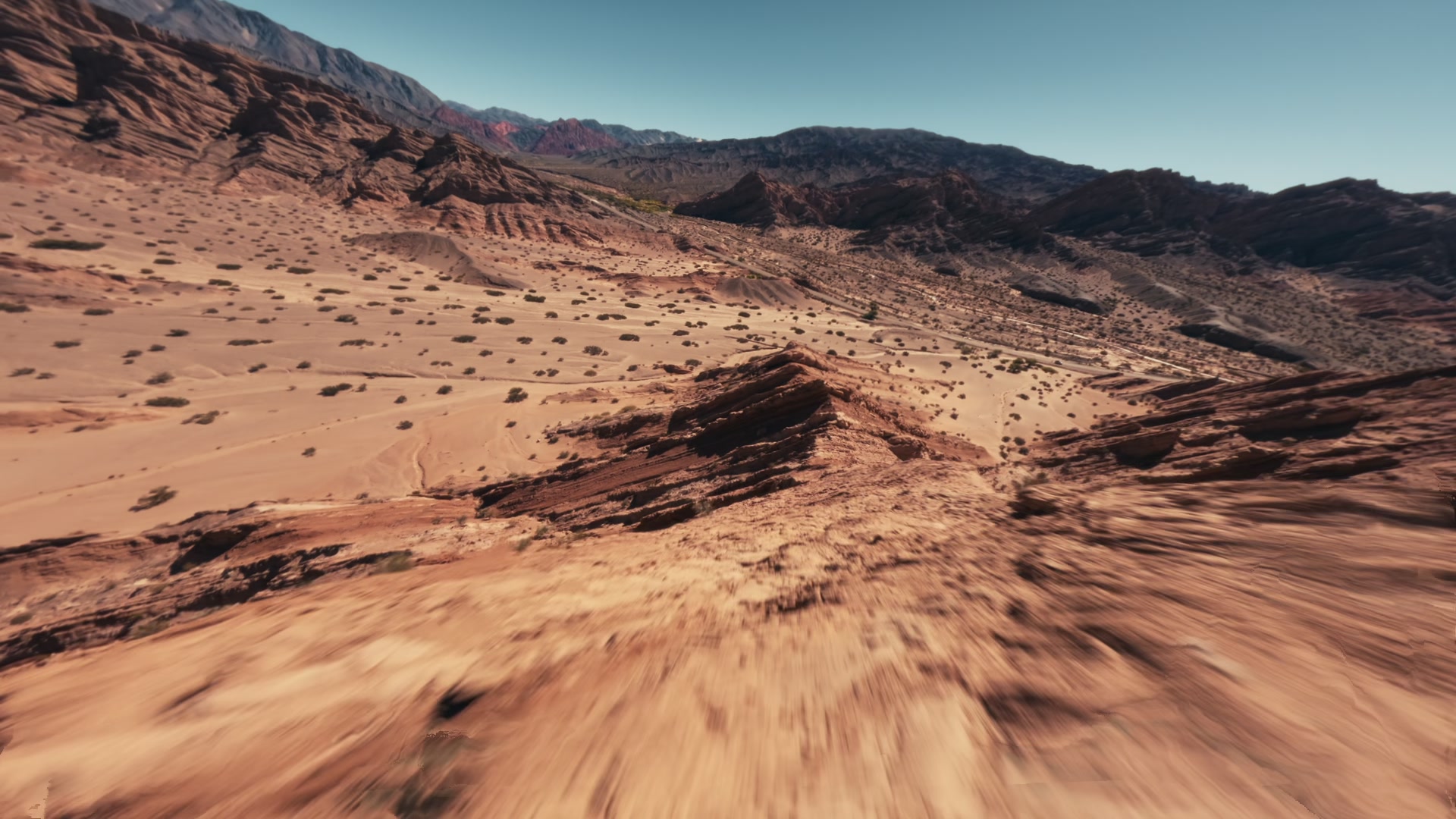 Desert dreams