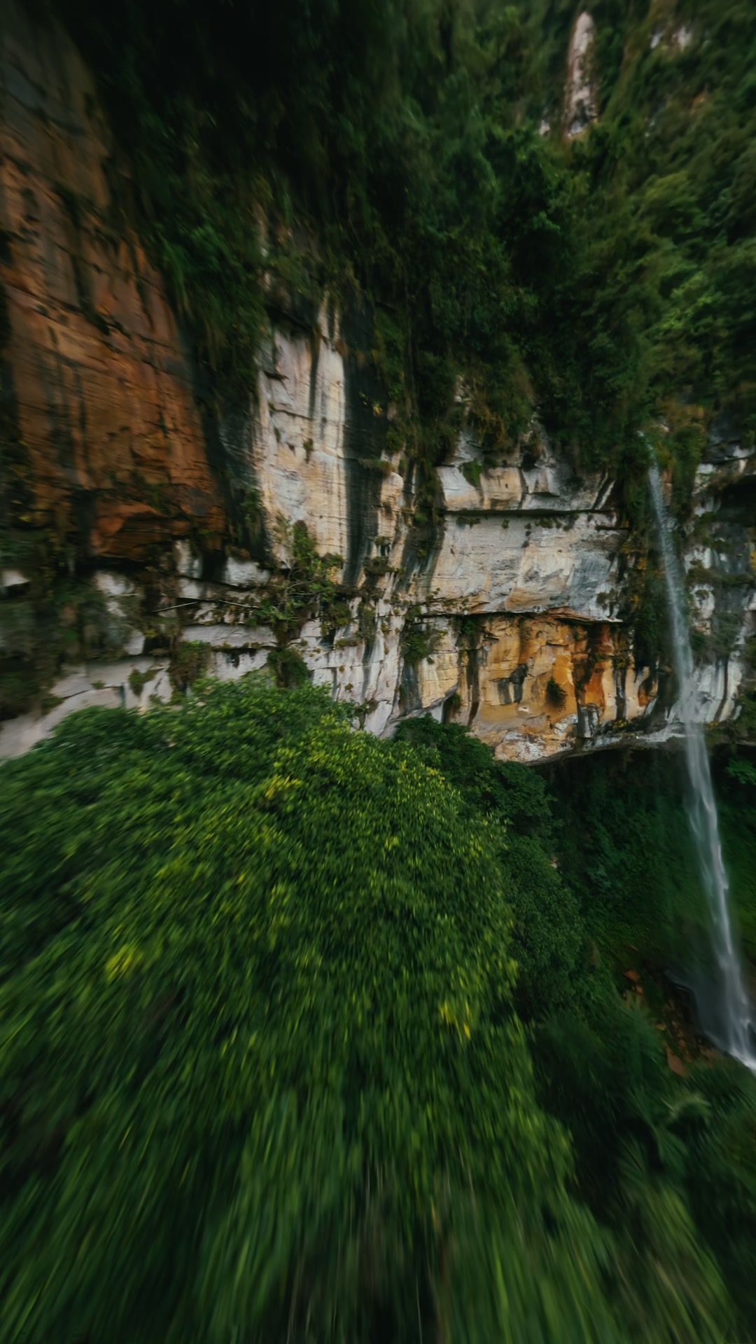 Hidden waterfall in the jungle
