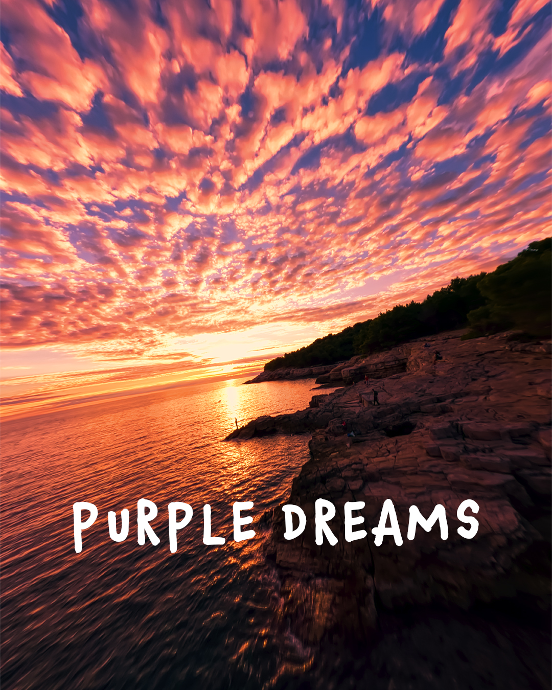 Purple Dreams
