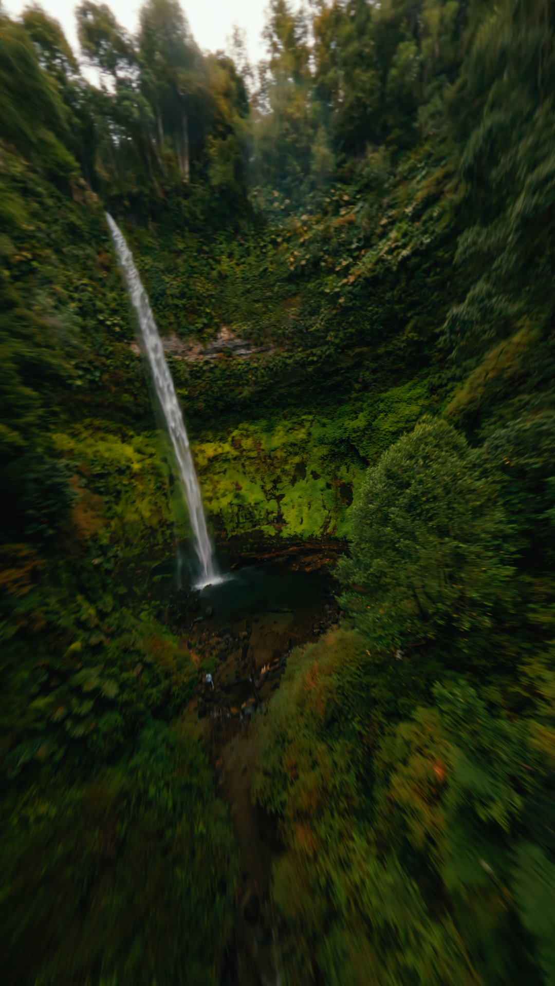 igvertical_01_00_02_05